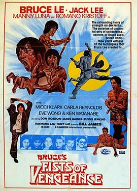 复仇的铁拳 Bruce's Fists of Vengeance