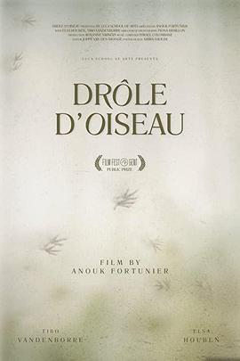 奇怪的鸟 Drôle d'Oiseau