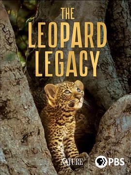 豹的传承 第三十九季 The Leopard Legacy Season 39