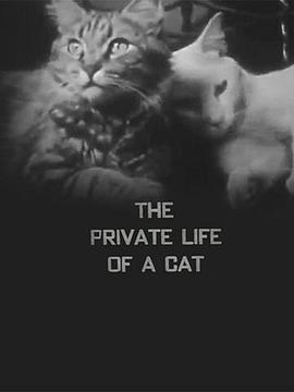 猫的私生活 The Private Life of a Cat
