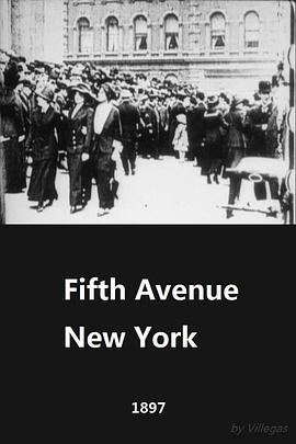 纽约第五大道 Fifth Avenue, New York