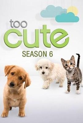 萌宠成长记 第六季 Too Cute! Season 6