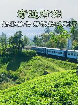 奇迹时刻：斯里兰卡努沃勒埃利耶 MOMENTS OF WONDER:Nuwara Eliya