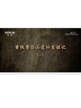 黄陂鲁台山遗址发掘记