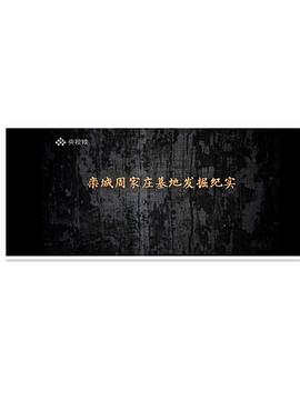 栾城周家庄墓地发掘纪实