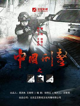 中国刑警之黑白局
