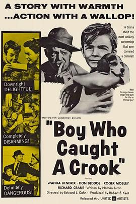 抓住骗子的男孩 Boy Who Caught a Crook