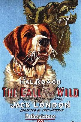 野性的呼唤 Call of the Wild