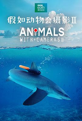 假如动物会摄影 II Animals with Cameras II