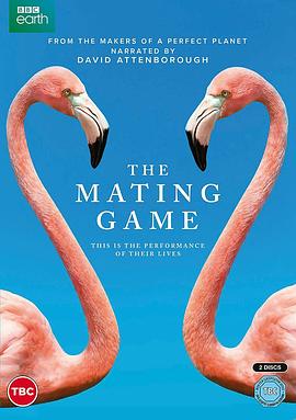 求偶游戏 The Mating Game