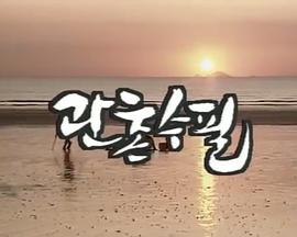 冠村随笔 관촌수필