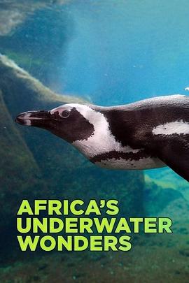 非洲水下奇观 Africa's Underwater Wonders