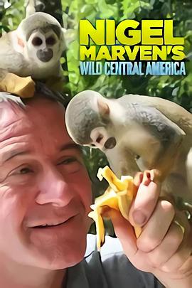 野性中美洲 Wild Central America