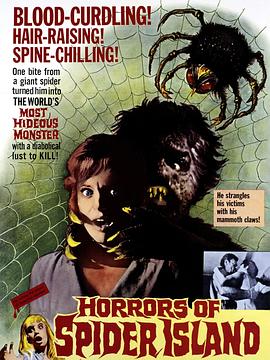 恐怖蜘蛛岛 Ein Toter hing im Netz