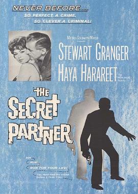 神秘贼 The Secret Partner