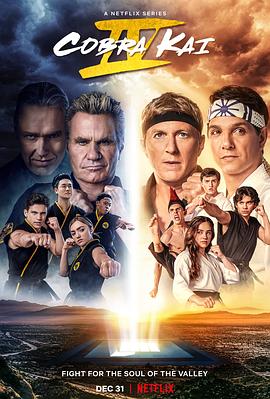 眼镜蛇 第四季 Cobra Kai Season 4