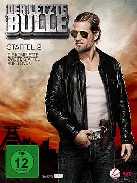 最后的警察 第二季 Der letzte Bulle Season 2