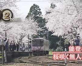 纪实72小时 能登半岛·樱花盛放的无人车站 ドキュメント72時間：能登半島 桜咲く無人駅で