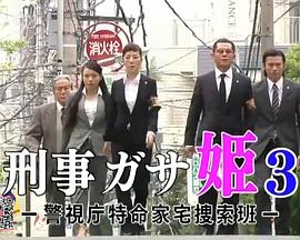 刑事ガサ公主3 警视厅特命家宅捜索班 刑事 ガサ姫3～警視庁特命家宅捜索班～