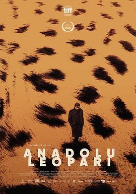 安纳托利亚豹 Anadolu Leopari
