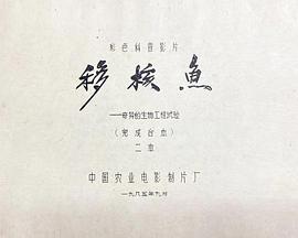 移核鱼——奇异的生物工程试验