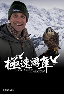 极速游隼 Super Fast Falcon