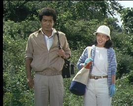 森村诚一悬疑系列 孤独的密藏 森村誠一サスペンス 孤独の密葬