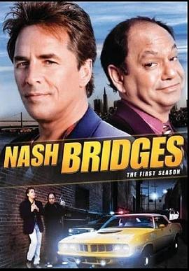 纳什警督 Nash Bridges