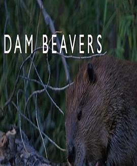 海狸工程师 Dam Beavers