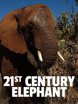 二十一世纪的大象 21st Century Elephant