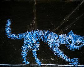 立体镜 Stereoscope