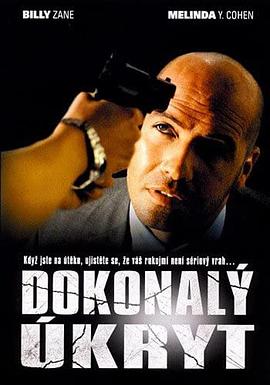 完美隐藏点 Perfect Hideout