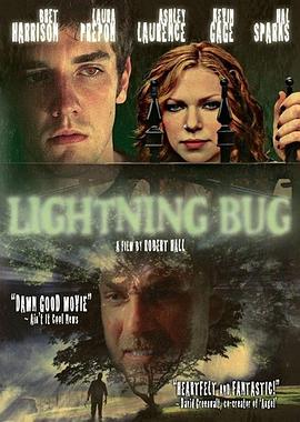 萤火虫 Lightning Bug