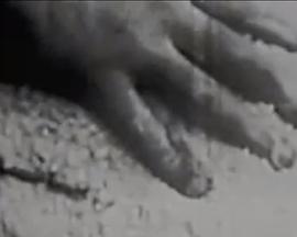 箭与圆规 La flecha y un compás