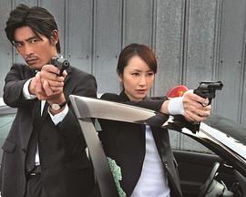 堂场瞬一推理 刑警鸣泽了 东京恐袭·史上最恶24小时 刑事・鳴沢了 ～東京テロ、史上最悪の２４時間～