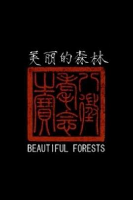 美丽的森林
