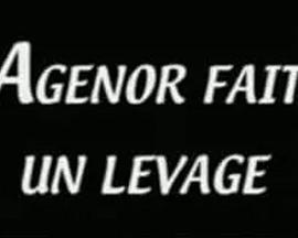 随阿热诺上去 Agénor fait un levage