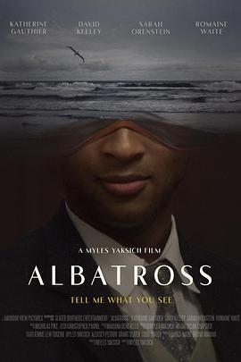 信天翁 Albatross