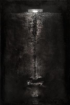 金丝雀 Canary