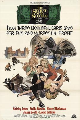 我的成功秘密 The Secret of My Success