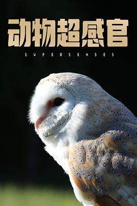 动物超感官 Supersenses