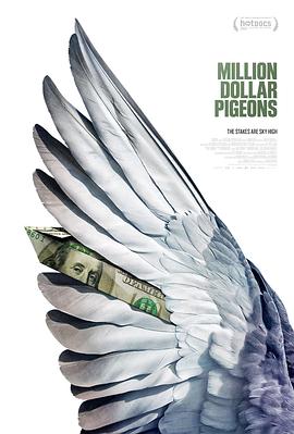 百万美元鸽子 Million Dollar Pigeons