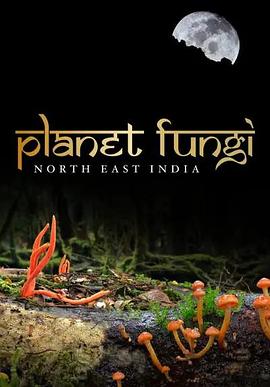 真菌王国 第二季 Planet Fungi: North East India