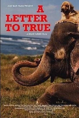 给爱犬的信 A Letter to True