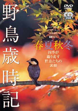 野鳥歲時記-春夏秋冬