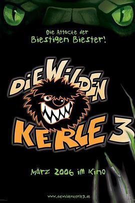 足球野小子3 Die Wilden Kerle 3