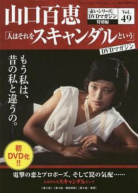 人们称之为丑闻 人はそれをスキャンダルという