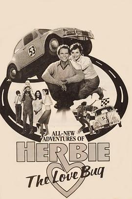 万能金龟车 Herbie, the Love Bug