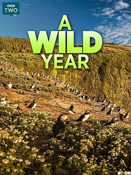 乡野四季 A Wild Year