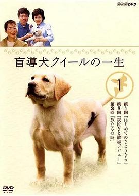 导盲犬小Q之一生 盲導犬クィールの一生